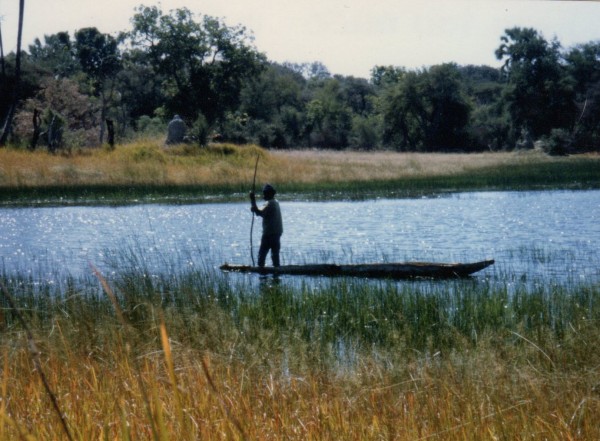 Mokoro Poler