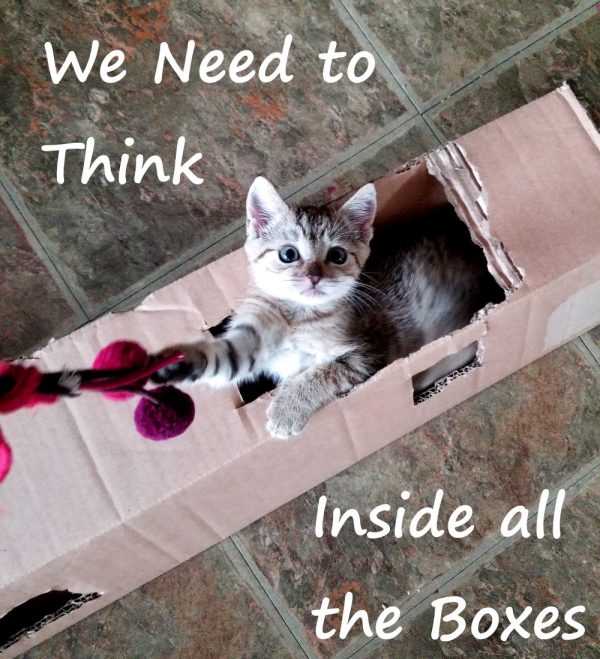 Changing Perspective - Inside the box