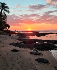 Soul Retrieval Healing Your Spirit
